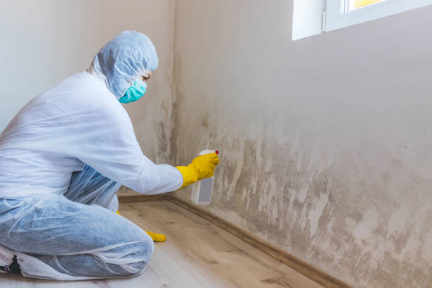 Licensed Mold Testing service in Summit, NJ - WQB Mold Removal