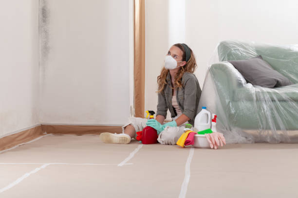 Reliable Mold Testing contractor in Summit, NJ by WQB Mold Removal